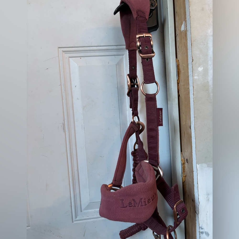 Lemieux Orchid Halter